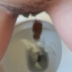 A girl is recorded from a between the legs perspective as she takes a shit and piss into a toilet. The poop starts off hard and nuggety, and then comes out in a couple of long, nice, logs. About a minute.